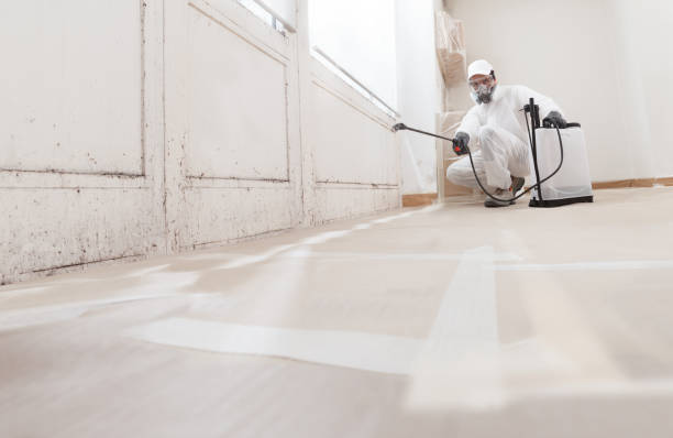 24/7 Emergency Mold Inspection experts in Raleigh, NC